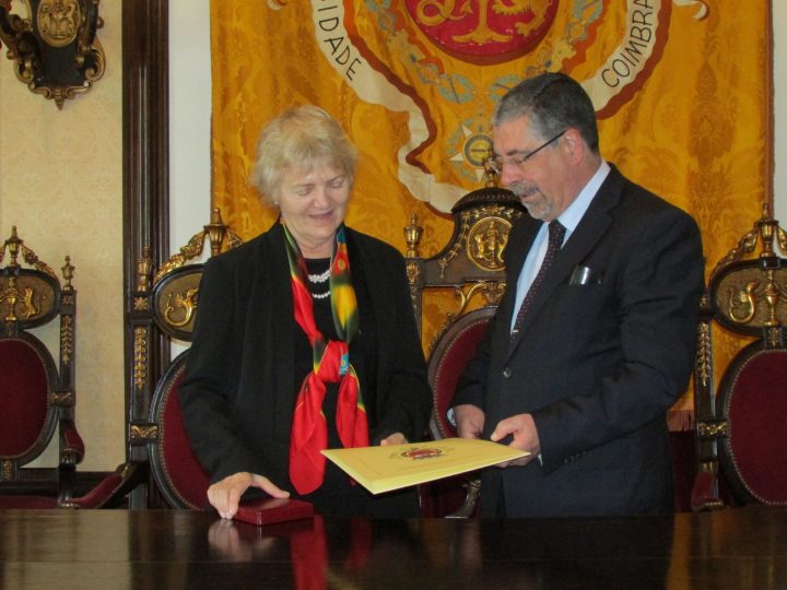 embaixadora 25 Custom